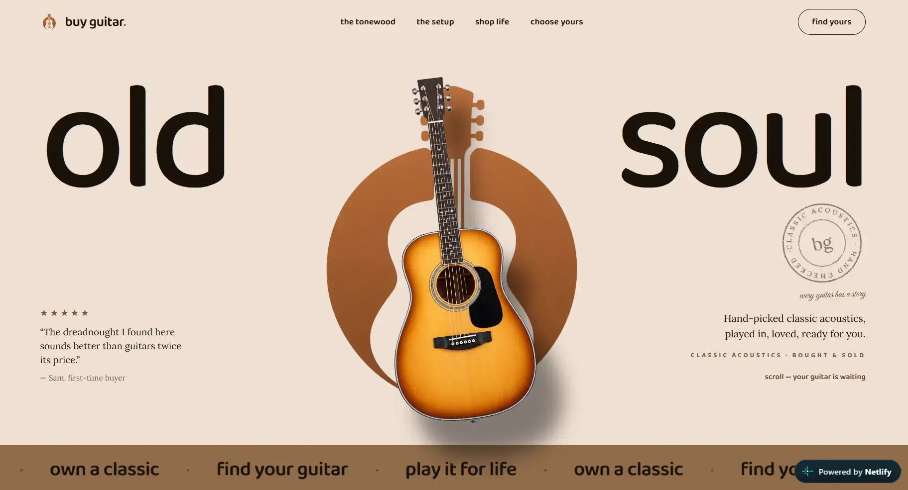 Buy Guitar website