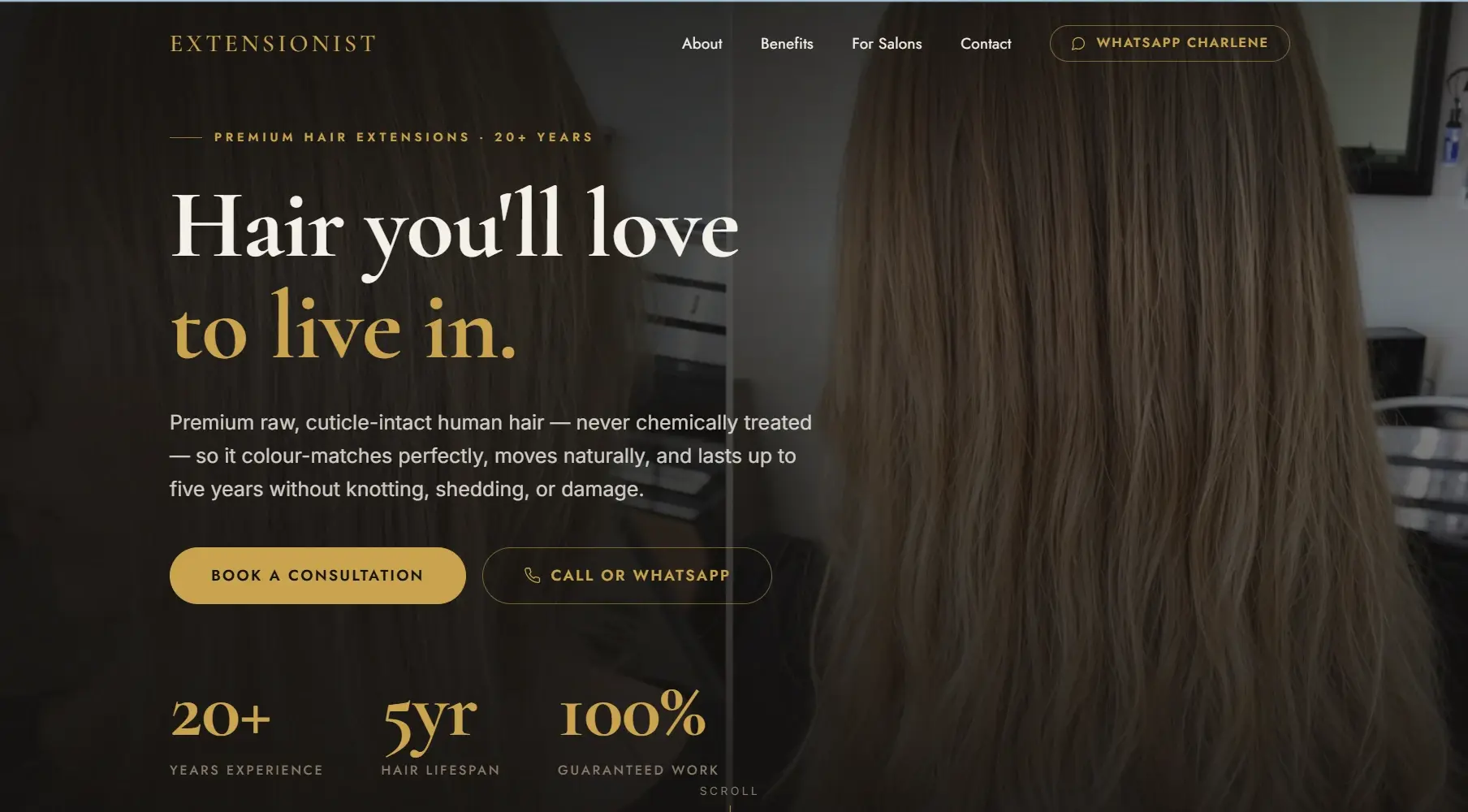 Extensionist website
