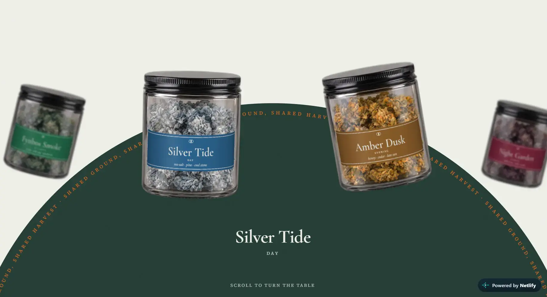 Joint Venture website